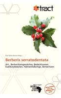Berberis Serratodentata
