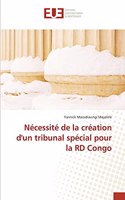 Nécessité de la création d'un tribunal spécial pour la RD Congo