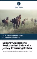 Superovulatorische Reaktion bei Sahiwal x Jersey Kreuzungskühen
