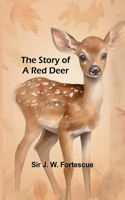 Story of a Red Deer