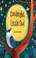 Goodnight, Little Owl