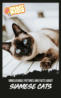 Unbelievable Pictures and Facts About Siamese Cats