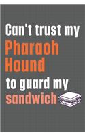 Can't trust my Pharaoh Hound to guard my sandwich: For Pharaoh Hound Dog Breed Fans