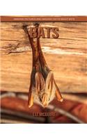 Bats