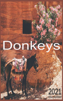 Donkeys: 2021 Wall & Office Calendar, 12 Month Calendar