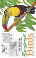 Rainforest Birds: A Special Edition Coloring Book(Animal Sketches)