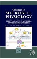 Recent Advances in Microbial Oxygen-Binding Proteins