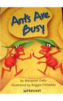Harcourt School Publishers Trophies: On Level Individual Reader Grade 1 Ants Are Busy: (Paperback)