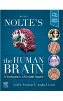 Nolte's the Human Brain