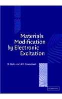 Materials Modification by Electronic Excitation