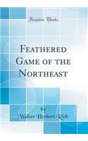 Feathered Game of the Northeast (Classic Reprint)