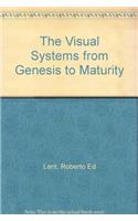 Visual System from Genesis to Maturity
