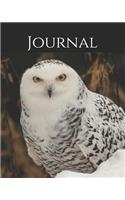 Journal: Wildlife Journal, Snowy Owl, Alaskan Owls, Alaska, North American Wildlife, Arctic Wildlife, Arctic Owl, Raw Nature, Owls, Birds - 8x10