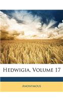 Hedwigia, Volume 17