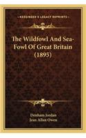 Wildfowl and Sea-Fowl of Great Britain (1895)