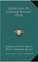 Essentials of College Botany (1914)