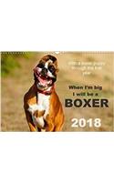 When I'm Big I Will be a Boxer / UK-Version 2018