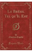 Le Brï¿½sil Tel Qu'il Est (Classic Reprint)