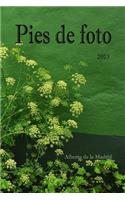 Pies de foto 2013
