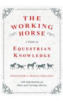 Working Horse - A Guide on Equestrian Knowledge with Information on Shire and Carriage Horses