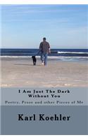 I Am Just The Dark Without You