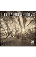 2019 the Nature of Trees 16-Month Wall Calendar: By Sellers Publishing