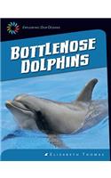 Bottlenose Dolphins