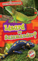 Lizard or Salamander