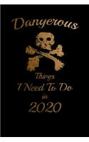 Dangerous Things I Need To Do in 2020 Humorous Minimalist Lined Notebook