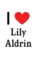 I Love Lily Aldrin: Lily Aldrin Designer Notebook