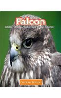 Falcon: Fun Facts and Amazing Photos of Animals in Nature