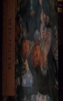 Renoir