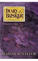 Diary of a Busker