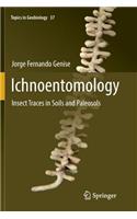 Ichnoentomology