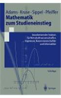 Mathematik Zum Studieneinstieg: Grundwissen Der Analysis Fur Wirtschaftswissenschaftler, Ingenieure, Naturwissenschaftler Und Informatiker (2. Verb. a