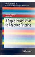 A Rapid Introduction to Adaptive Filtering: (SpringerBriefs in Electrical and Computer Engineering)