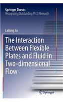 Interaction Between Flexible Plates and Fluid in Two-Dimensional Flow