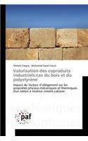 Valorisation Des Coproduits Industriels: Cas Du Bois Et Du Polystyrène(Omn.Pres.Franc.)