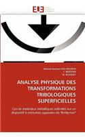 Analyse Physique Des Transformations Tribologiques Superficielles