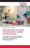 Remediación de suelos contaminados usando nanopartículas