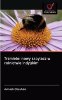 Trzmiele