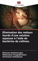 Élimination des métaux lourds d'une solution aqueuse à l'aide de bactéries de collines.