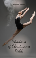 Shadows of Cloudwoven Fields