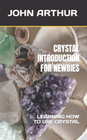 Crystal Introduction for Newbies: Learning How to Use Crystal