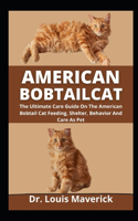 American Bobtail Cat