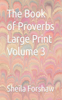 Book of Proverbs Large Print Volume 3