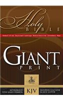 Giant Print Handy-Size Bible