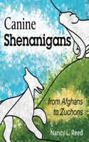 Canine Shenanigans