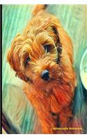 Labradoodle Notebook