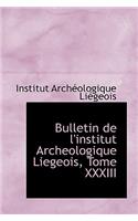 Bulletin de L'Institut Archeologique Liegeois, Tome XXXIII